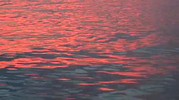 일몰 빛의 바다 파도 반사 — 비디오