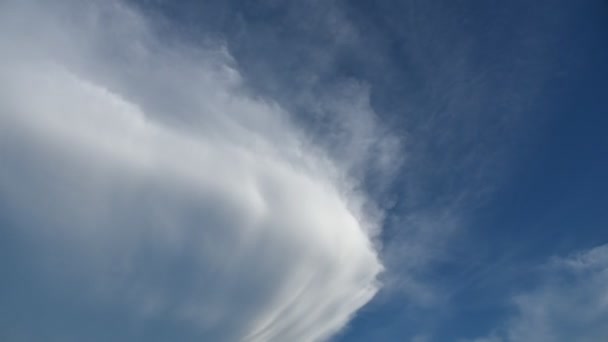 Caducidad de la gran nube moviéndose con el cielo azul — Vídeos de Stock