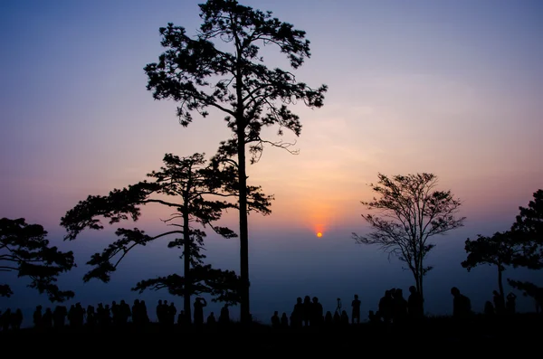 Turist bkz: sunrise için dağ beklemek en üstündeki silüeti — Stok fotoğraf