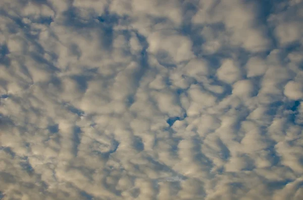 Nice clouds with sunrise light — Stock Photo, Image