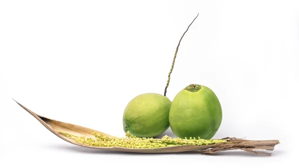 Kokos med spadix isoleret på hvid baggrund - Stock-foto