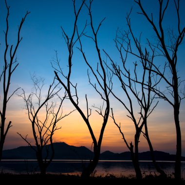 Göl ve dağ günbatımı gökyüzü ile yanında kurumuş ağaç