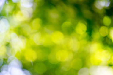 Odaklanamayan soyut arkaplan