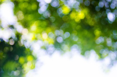 Odaklanamayan soyut arkaplan