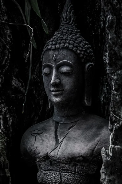 Ídolo de Buda en árbol viejo para la decoración del jardín —  Fotos de Stock