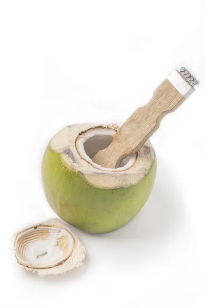 Rallador de coco aislado con coco sobre fondo blanco — Foto de Stock
