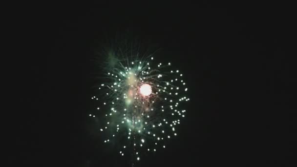 Fuochi d'artificio illuminano il cielo — Video Stock