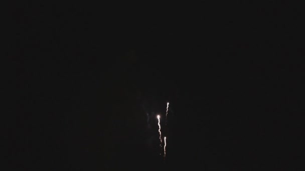 Фейерверки освещают небо — стоковое видео