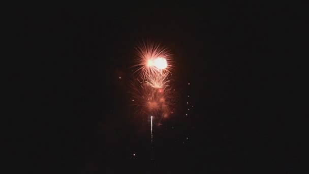 Fuegos artificiales iluminan el cielo — Vídeos de Stock