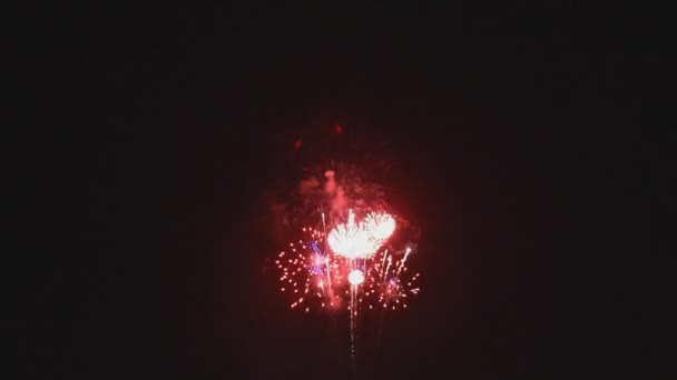 Feuerwerk erhellt den Himmel — Stockvideo
