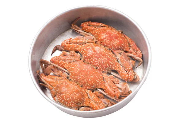 Streamed crabs in tray isolated on white background — Stock Photo, Image