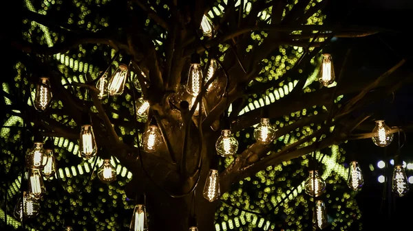 Lighting bulb decoration on tree — Stock Photo, Image