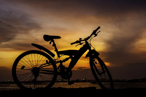Silueta de estacionamiento de bicicletas de montaña en embarcadero junto al mar con sol — Foto de Stock