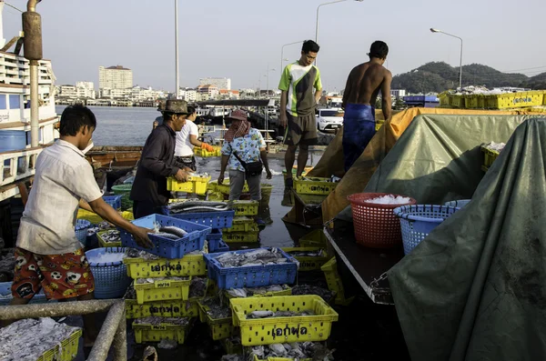 Trabajador no identificado llevar canasta de pescado a camión — Foto de Stock