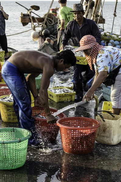 Trabajador no identificado lavando pescado en la cesta — Foto de Stock