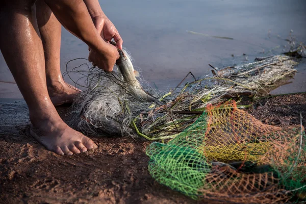 Pesca por redes — Fotografia de Stock