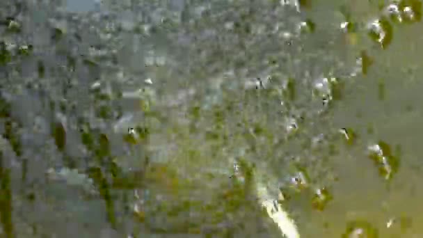 Bolle d'aria in acqua, Pompe ad aria per l'allevamento dei pesci — Video Stock