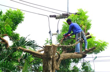 Chonburi, Tayland - 14 Sep: 14 Eylül 2025 'te Chonburi, Tayland' da kesilen büyük ağaç için ağaç işçisi