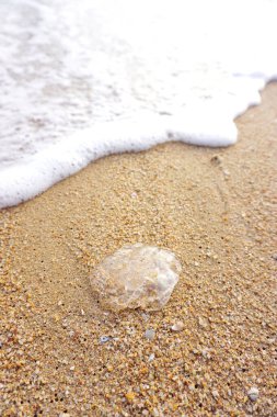 Sahildeki deniz anasının deniz sörfü ve köpüklü yakın çekimi.