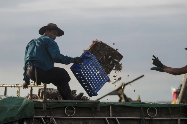 Неопознанный работник держит рыбу в грузовике — стоковое фото