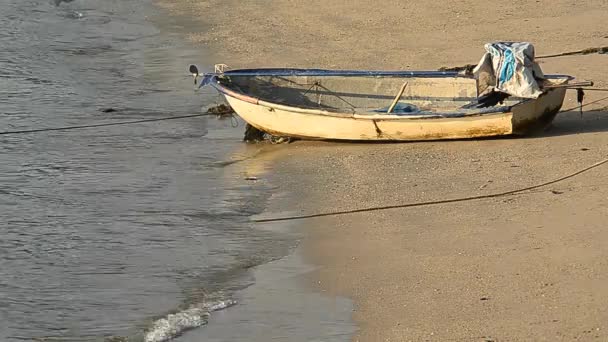 Zee surfen op strand met boot — Stockvideo