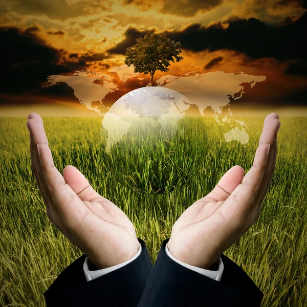 Tijd om op te slaan het milieu concept, zakenman houden het groen — Stockfoto