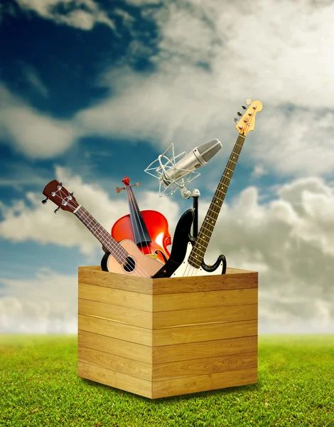 Hudební nástroj v dřevěné krabici — Stock fotografie