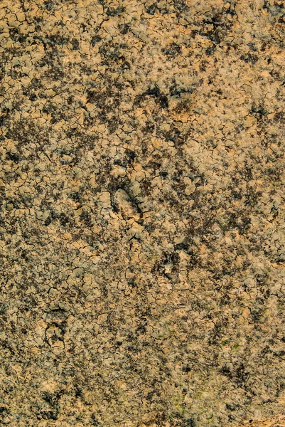 Камень на фоне морской текстуры — стоковое фото