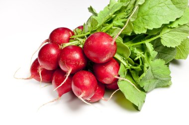 Kırmızı radisch