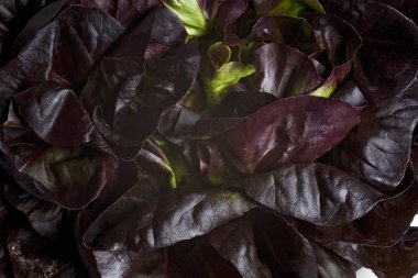 Karışık yakın çekim