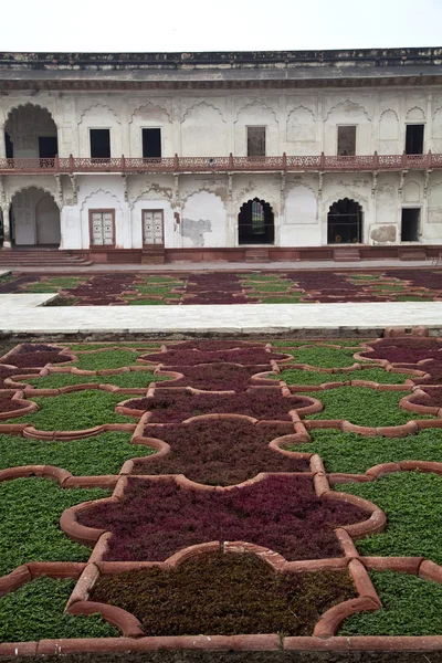 Garten in Indien — Stockfoto