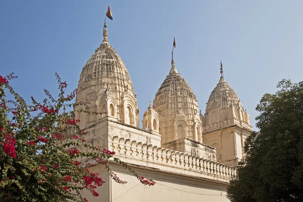 Templo hindú en la India — Foto de Stock