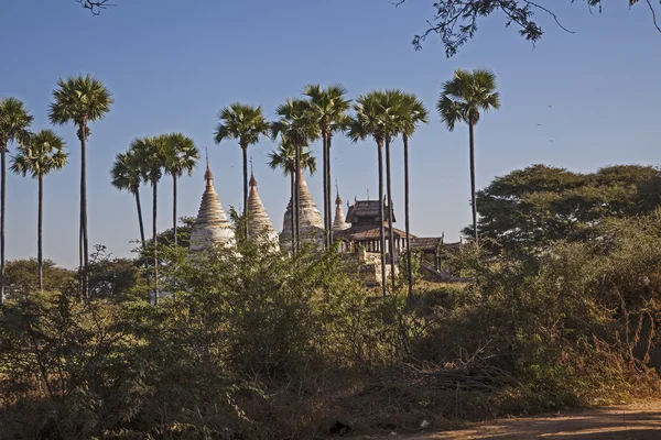 Myanmar. templo antigo — Fotografia de Stock