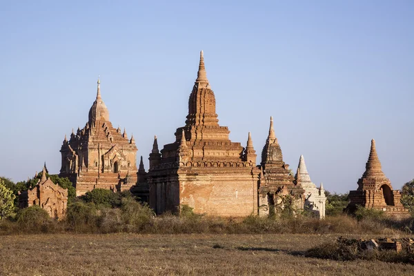 Myanmar. estupas — Fotografia de Stock