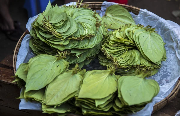 Myanmar, folhas de betel no mercado Imagens Royalty-Free