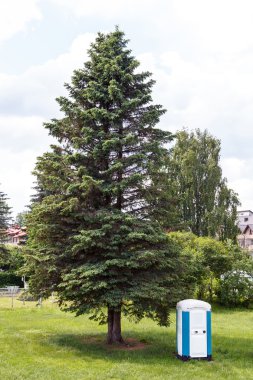 Portatif tuvalet duran bir ağacı yakınındaki