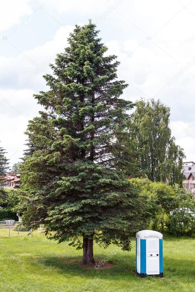 Portable toilet standing near a tree