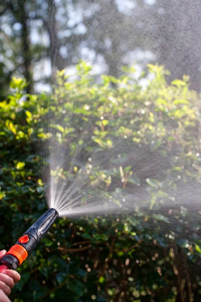 Water from a hoose — Stock Photo, Image