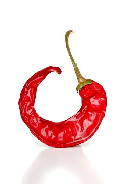 Torr chilipeppar — Stockfoto