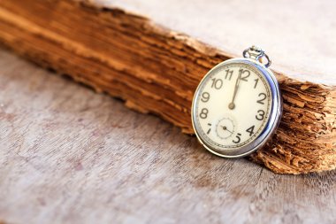 Kitap yanındaki cep saati