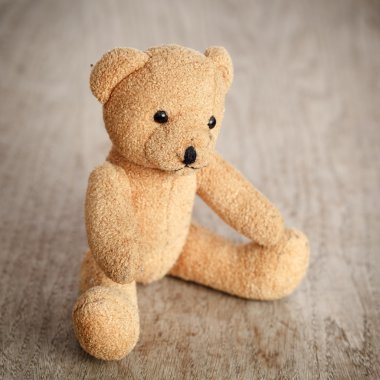 kahverengi oyuncak ayı 