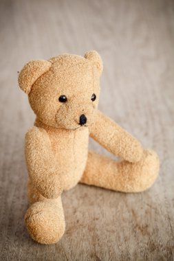 kahverengi oyuncak ayı