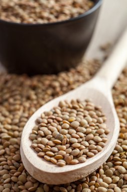 Kaşık mercimek tam