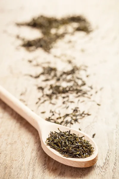 Foglie di tè verde essiccato — Foto Stock