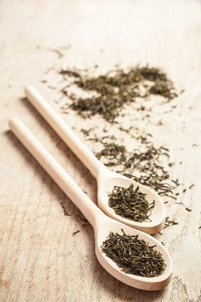 乾燥緑茶葉 — ストック写真
