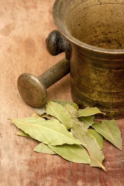 Mortaio e pestello di bronzo — Foto Stock