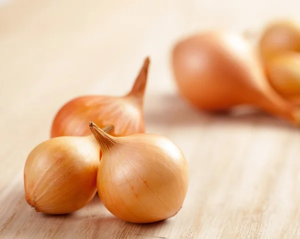 Golden onions — Stock Photo, Image