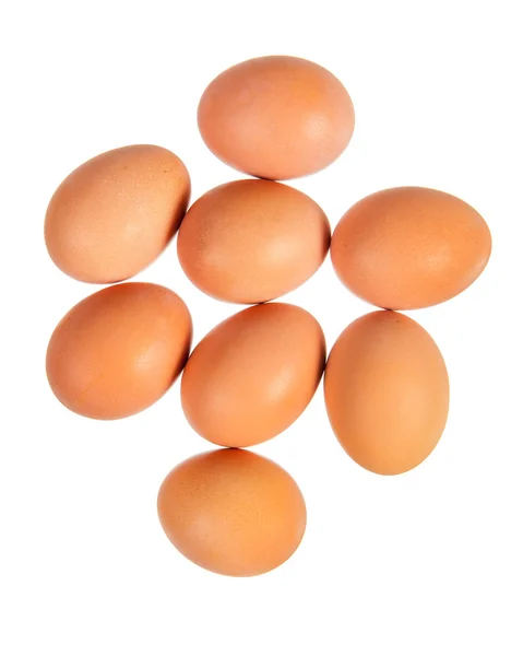 Huevos marrones aislados en blanco — Foto de Stock