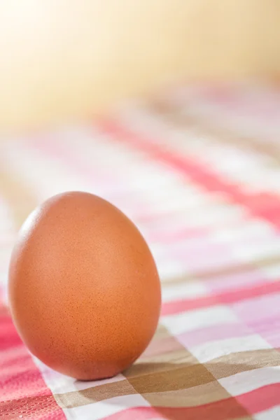 Brown egg on a table — Stock Photo, Image