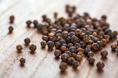 Kara biber. Yakın çekim.